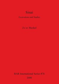 bokomslag Sinai: Excavations and Studies