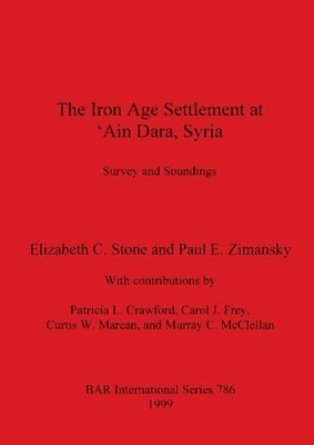 Elizabeth C Stone, Paul E Zimansky - The Iron Age Settlement at 'Ain Dara Syria: Survey and Soundings, Häftad