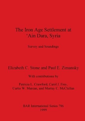 bokomslag The The Iron Age Settlement at 'Ain Dara Syria: Survey and Soundings