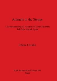 bokomslag Animals in the Steppe