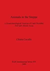 bokomslag Animals in the Steppe