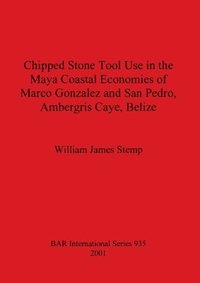 bokomslag Chipped Stone Tool Use in the Maya Coastal Economies of Marco Gonzalez and San Pedro Ambergris Caye Belize