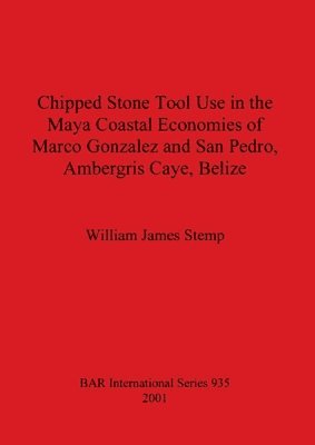 bokomslag Chipped Stone Tool Use in the Maya Coastal Economies of Marco Gonzalez and San Pedro Ambergris Caye Belize