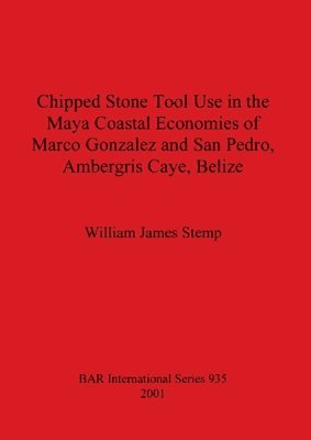bokomslag Chipped Stone Tool Use in the Maya Coastal Economies of Marco Gonzalez and San Pedro Ambergris Caye Belize