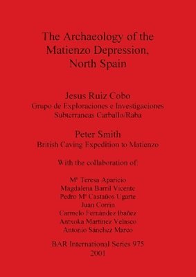 bokomslag Archaeology of the Matienzo Depression, North Spain