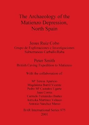 The Archaeology of the Matienzo Depression, North Spain 1