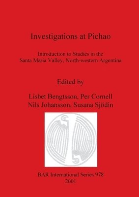 Investigations at Pichao 1