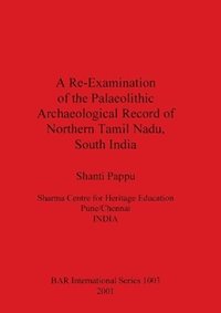 bokomslag A Re-examination of the Palaeolithic Archaeological Record of Northern Tamil Nadu South India