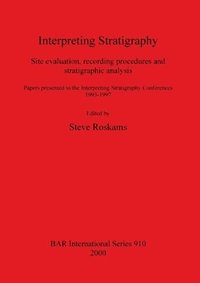 bokomslag Interpreting Stratigraphy