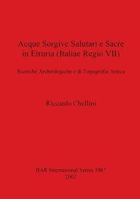 bokomslag Acque Sorgivi Salutari e Sacre in Etruria (Italiae Regio VII)