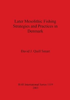bokomslag Later Mesolithic Fishing Strategies and Practices in Denmark