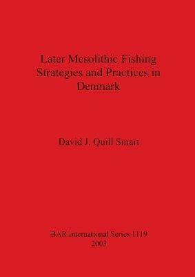 bokomslag Later Mesolithic Fishing Strategies and Practices in Denmark