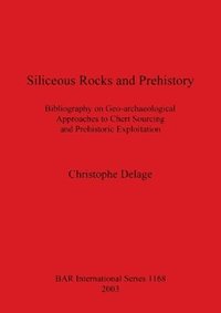bokomslag Siliceous Rocks and Prehistory