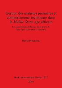 bokomslag Gestion des matires premires et comportements techniques dans le Middle Stone Age africain
