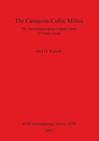 bokomslag The Canaanite Cultic Milieu