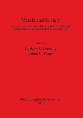 bokomslag Metals and Society
