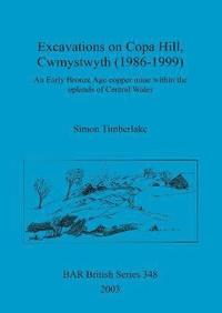 bokomslag Excavations on Copa Hill, Cwmystwyth (1986-1999)