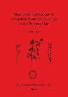 Efraim Lev - Medicinal Substances in Jerusalem from Early Times to the Present Day, Häftad