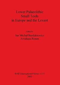 bokomslag Lower Palaeolithic Small Tools in Europe and the Levant