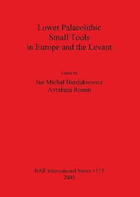 bokomslag Lower Palaeolithic Small Tools in Europe and the Levant