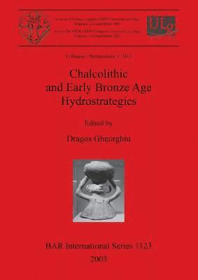 bokomslag Chalcolithic and Early Bronze Age Hydrostrategies
