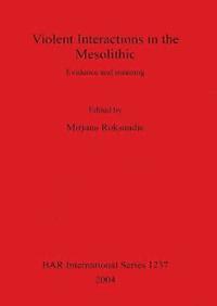 bokomslag Violent Interactions in the Mesolithic