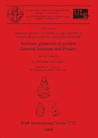 bokomslag Section 4: Premiers hommes et Palolithique Infrieur / Human Origins and the Lower Palaeolithic