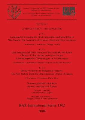 Mésolithique / The Mesolithic