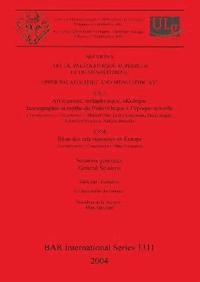 bokomslag Section 8: Art du Palolithique Suprieur et du Msolithique / Upper Palaeolithic and Mesolithic Art