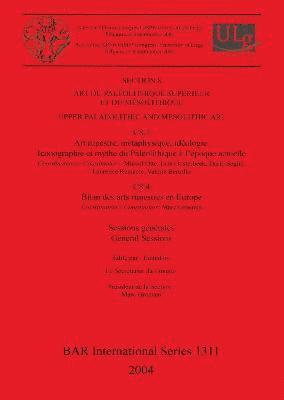 bokomslag Section 8: Art du Palolithique Suprieur et du Msolithique / Upper Palaeolithic and Mesolithic Art