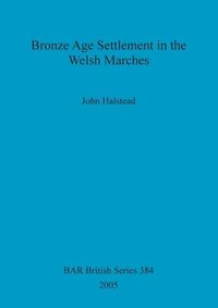 bokomslag Bronze Age Settlement in the Welsh Marches
