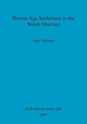 bokomslag Bronze Age Settlement in the Welsh Marches