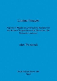bokomslag Liminal Images