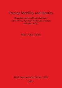 bokomslag Tracing Mobility and Identity. Bioarchaeology and Bone Chemistry of the Bronze Age Sant'Abbondio Cemetery (Pompeii Italy)