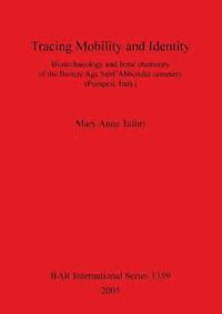 bokomslag Tracing Mobility and Identity. Bioarchaeology and Bone Chemistry of the Bronze Age Sant'Abbondio Cemetery (Pompeii Italy)