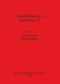 bokomslag Current Research in Egyptology II