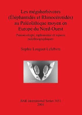 bokomslag mégaherbivores (Éléphantidés et Rhinocérotidés) au Paléolithique moyen en Europe du Nord-Ouest
