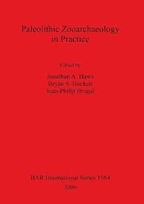 bokomslag Paleolithic Zooarchaeology in Practice