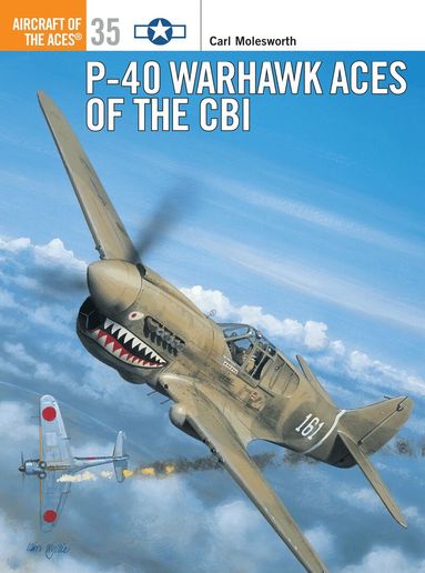Carl Molesworth - P-40 Warhawk Aces of the CBI, Häftad