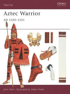 bokomslag Aztec Warrior