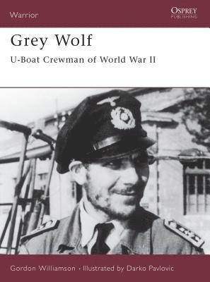 bokomslag Grey Wolf