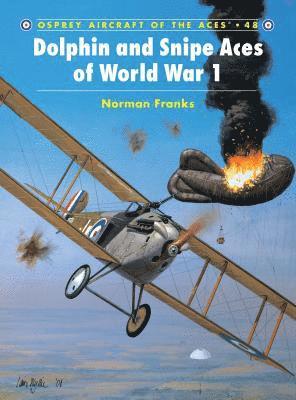 bokomslag Dolphin and Snipe Aces of World War 1