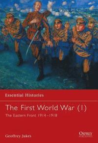 bokomslag First World War (1)