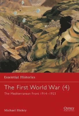 bokomslag First World War (4)