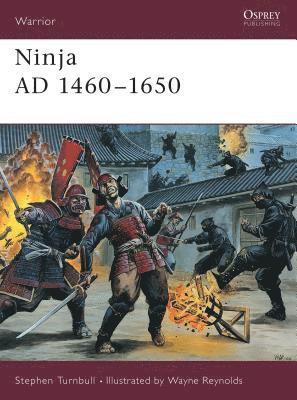 Ninja AD 1460-1650 1