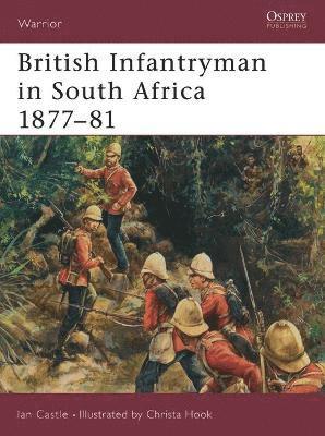 British Infantryman in South Africa 1877-81 1