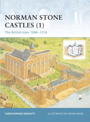 bokomslag Norman Stone Castles (1)