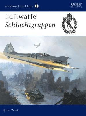 bokomslag Luftwaffe Schlachtgruppen