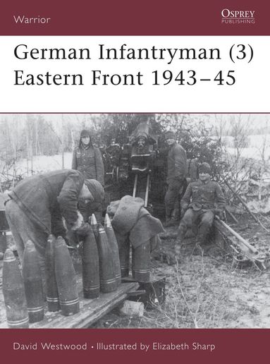 David Westwood - German Infantryman (3) Eastern Front 1943–45, Häftad