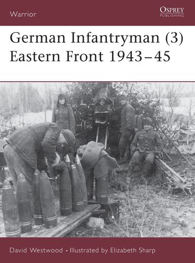 bokomslag German Infantryman (3) Eastern Front 1943-45